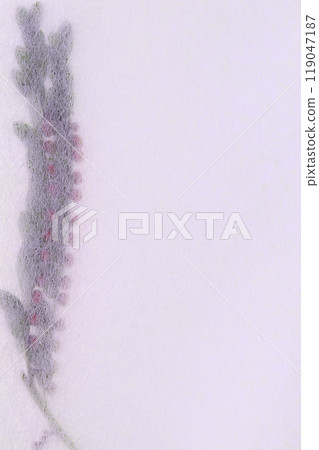 日本紙與植物（comicanthus）的協作【背景資料】 119047187