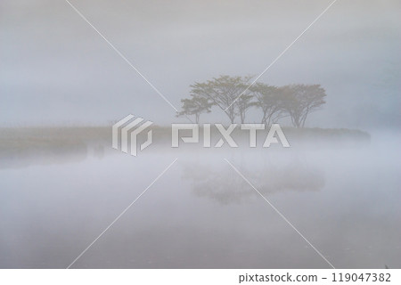 被晨霧包圍的赤城山、角滿淵[群馬縣] 119047382