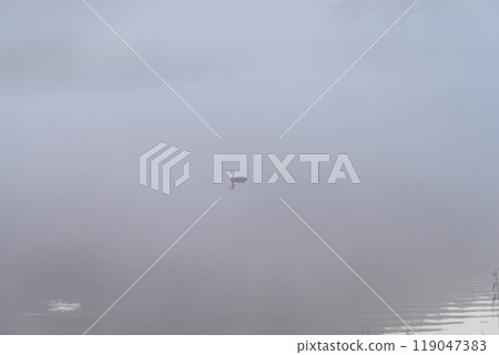 被晨霧包圍的赤城山、角滿淵[群馬縣] 119047383