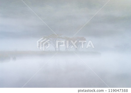 被晨霧包圍的赤城山、角滿淵[群馬縣] 119047388