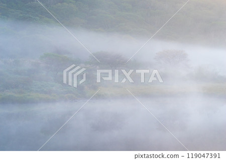 被晨霧包圍的赤城山、角滿淵[群馬縣] 119047391