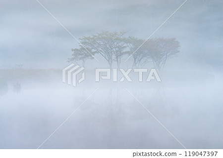 被晨霧包圍的赤城山、角滿淵[群馬縣] 119047397