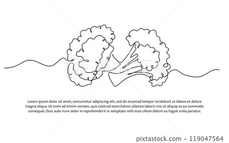 Broccoli one continuous line design. Vegetable symbol design concept. Decorative elements drawn on a white background. Broccoli one continuous line design. Vegetable symbol design concept. Decorative elements drawn on a white background. 119047564