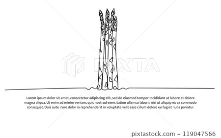 Asparagus one continuous line design. Vegetable symbol concept. Decorative elements drawn on a white background. Asparagus one continuous line design. Vegetable symbol concept. Decorative elements drawn on a white background. 119047566