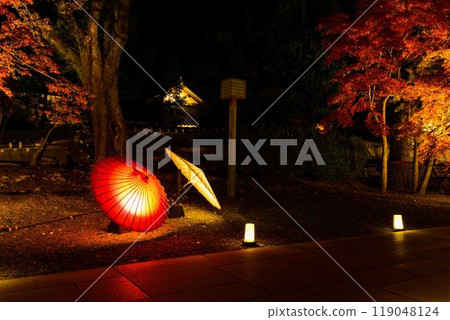 A fantastical and beautiful Japanese garden - Autumn foliage illuminated at night "Limited viewing of the former Hosokawa Gyobu residence and autumn foliage illumination" (Kumamoto City) 119048124