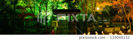 紅葉燈飾的夢幻美麗的日本庭園「舊細川刑部宅邸限定開幕及紅葉燈飾」（熊本市） 119048132