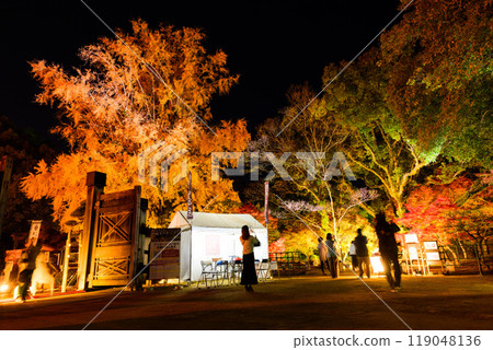 紅葉燈飾的夢幻美麗的日本庭園「舊細川刑部宅邸限定開幕及紅葉燈飾」（熊本市） 119048136