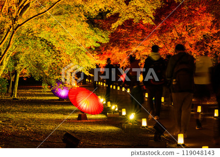 A fantastical and beautiful Japanese garden - Autumn foliage illuminated at night "Limited viewing of the former Hosokawa Gyobu residence and autumn foliage illumination" (Kumamoto City) A fantastical and beautiful Japanese garden - Autumn foliage illuminated at night "Limited viewing of the former Hosokawa Gyobu residence and autumn foliage illumination" (Kumamoto City) 119048143