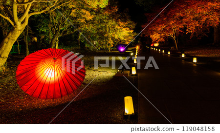 A fantastical and beautiful Japanese garden - Autumn foliage illuminated at night "Limited viewing of the former Hosokawa Gyobu residence and autumn foliage illumination" (Kumamoto City) A fantastical and beautiful Japanese garden - Autumn foliage illuminated at night "Limited viewing of the former Hosokawa Gyobu residence and autumn foliage illumination" (Kumamoto City) 119048158