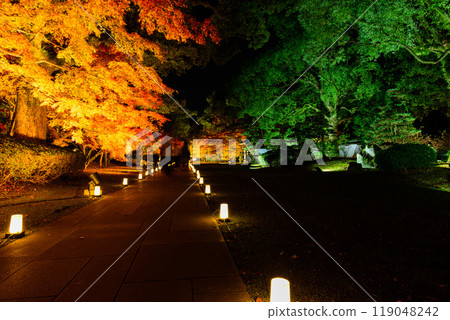 紅葉燈飾的夢幻美麗的日本庭園「舊細川刑部宅邸限定開幕及紅葉燈飾」(熊本市) 紅葉燈飾的夢幻美麗的日本庭園「舊細川刑部宅邸限定開幕及紅葉燈飾」(熊本市) 119048242