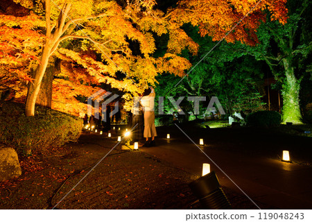 紅葉燈飾的夢幻美麗的日本庭園「舊細川刑部宅邸限定開幕及紅葉燈飾」(熊本市) 紅葉燈飾的夢幻美麗的日本庭園「舊細川刑部宅邸限定開幕及紅葉燈飾」(熊本市) 119048243