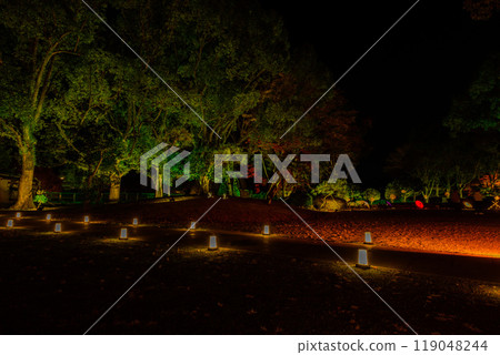 紅葉燈飾的夢幻美麗的日本庭園「舊細川刑部宅邸限定開幕及紅葉燈飾」(熊本市) 紅葉燈飾的夢幻美麗的日本庭園「舊細川刑部宅邸限定開幕及紅葉燈飾」(熊本市) 119048244
