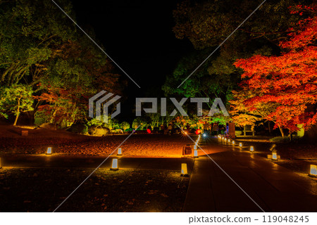 紅葉燈飾的夢幻美麗的日本庭園「舊細川刑部宅邸限定開幕及紅葉燈飾」（熊本市） 119048245