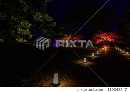 紅葉燈飾的夢幻美麗的日本庭園「舊細川刑部宅邸限定開幕及紅葉燈飾」（熊本市） 119048247
