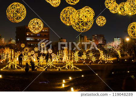 A fantastic and beautiful Japanese garden - Illuminated bamboo lantern scenery "Limited viewing of the former Hosokawa Gyobu residence and autumn foliage illumination" (Kumamoto City) 119048289