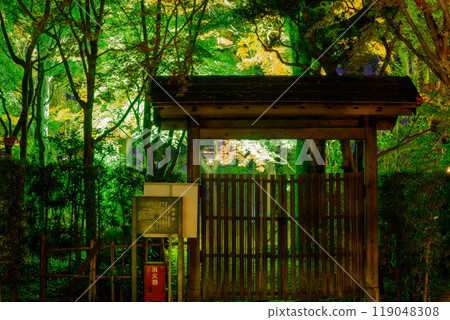 A fantastical and beautiful Japanese garden - Autumn foliage illuminated at night "Limited viewing of the former Hosokawa Gyobu residence and autumn foliage illumination" (Kumamoto City) A fantastical and beautiful Japanese garden - Autumn foliage illuminated at night "Limited viewing of the former Hosokawa Gyobu residence and autumn foliage illumination" (Kumamoto City) 119048308
