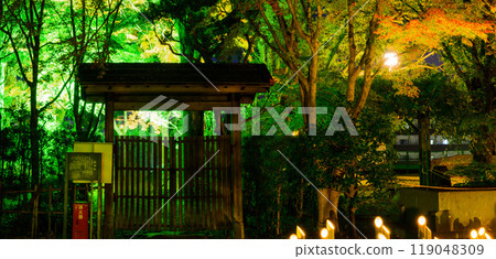 A fantastical and beautiful Japanese garden - Autumn foliage illuminated at night "Limited viewing of the former Hosokawa Gyobu residence and autumn foliage illumination" (Kumamoto City) A fantastical and beautiful Japanese garden - Autumn foliage illuminated at night "Limited viewing of the former Hosokawa Gyobu residence and autumn foliage illumination" (Kumamoto City) 119048309