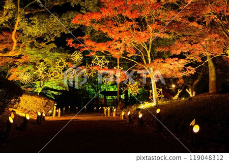 A fantastical and beautiful Japanese garden - Autumn foliage illuminated at night "Limited viewing of the former Hosokawa Gyobu residence and autumn foliage illumination" (Kumamoto City) A fantastical and beautiful Japanese garden - Autumn foliage illuminated at night "Limited viewing of the former Hosokawa Gyobu residence and autumn foliage illumination" (Kumamoto City) 119048312