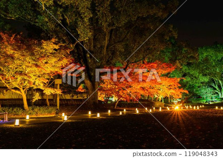 用竹燈照亮的夢幻美麗的日本庭園「舊細川刑部宅邸限定開園及紅葉彩燈」（熊本市） 119048343