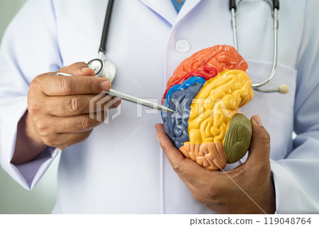 Alzheimer disease, Asian doctor holding brain anatomy model for study diagnosis and treatment in hospital. 119048764