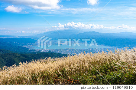 從高博地山山頂的蒲葦草原俯視諏訪湖 119049810
