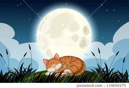 Cat Sleeping Peacefully Under the Moon 119050375