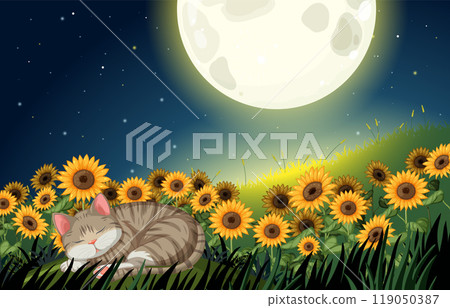 Cat Sleeping Under the Moonlight 119050387