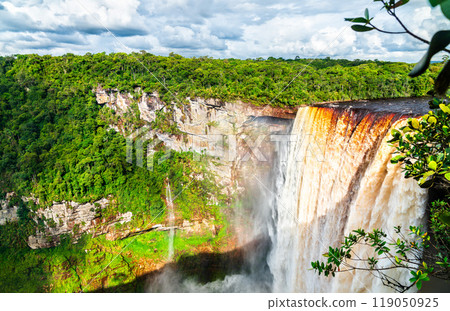 Kaieteur Falls in Amazon rainforest of Guyana, South America. One of the highest and most powerful waterfalls in the world 119050925