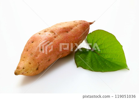 新鮮收穫的紅薯（Annoimo） 119051036