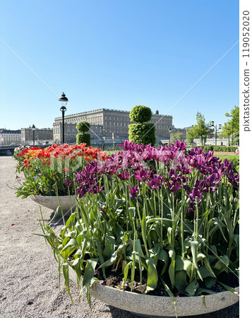 Sweden Stockholm Park 119052020