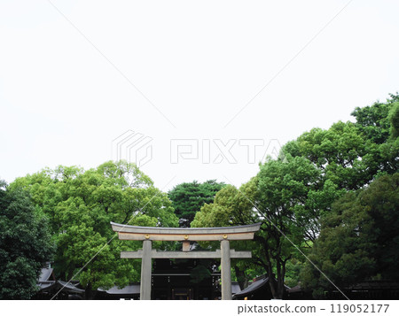 鳥居與森林|明治神宮 鳥居與森林|明治神宮 119052177