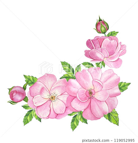 Bouquet with pink tea rose. Hand drawn watercolor illustration 119052995