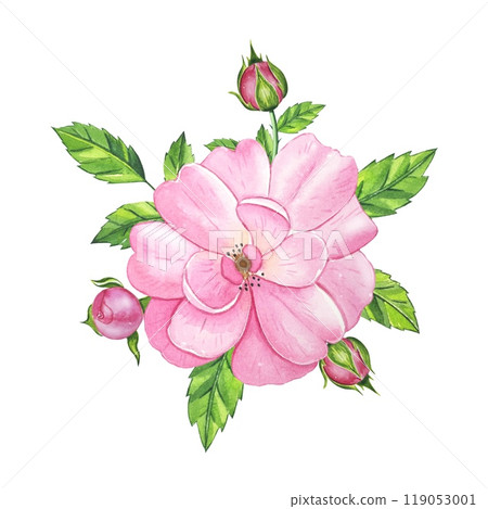Bouquet with pink tea rose. Hand drawn watercolor illustration 119053001