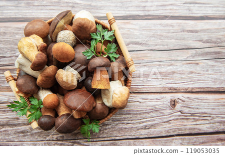 A vibrant assortment of fresh mushrooms collected in a basket displayed on rustic wooden surface 119053035
