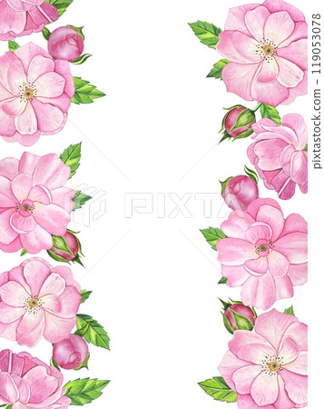 Frame with pink tea rose. Hand drawn watercolor illustration 119053078