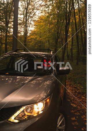 Autumn SUV with Driver with Pumpkin Head in Forest 119053089