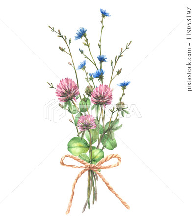 Wildflower bouquet tied with a cord Field pink clover, blue chicory flowers and buds, meadow herbs. Bunch of summer greenery Watercolor hand drawn illustration. Floral clipart Isolated from background Wildflower bouquet tied with a cord Field pink clover, blue chicory flowers and buds, meadow herbs. Bunch of summer greenery Watercolor hand drawn illustration. Floral clipart Isolated from background 119053197
