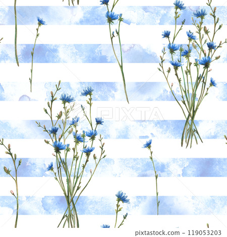 Wildflower seamless pattern. Blue chicory flowers, herbs and buds on watercolor stripes splashes stroke background. Summer fabric, wallpaper Watercolor hand drawn illustration Isolated from background 119053203