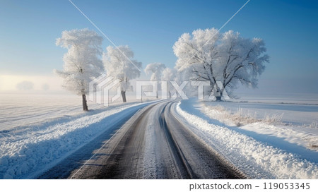 Beautyfull White Rime Along Country Road with Ethereal Dreamlike Daytime Scene 119053345