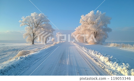 Beautyfull White Rime Along Country Road with Ethereal Dreamlike Daytime Scene 119053346