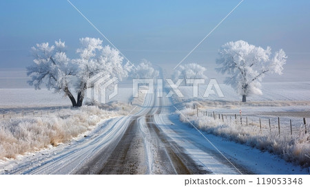 Beautyfull White Rime Along Country Road with Ethereal Dreamlike Daytime Scene 119053348