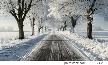 Beautyfull White Rime Along Country Road with Ethereal Dreamlike Daytime Scene 119053349