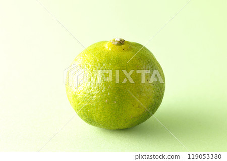 Single photo of Shikuwasa 119053380