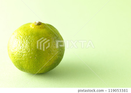 Single photo of Shikuwasa 119053381