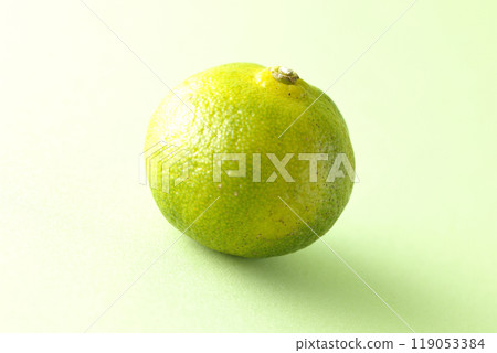 鹿和佐的單人照片 119053384