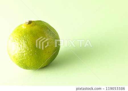 Single photo of Shikuwasa 119053386