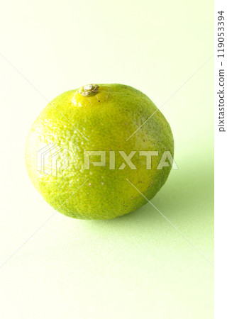 Single photo of Shikuwasa 119053394