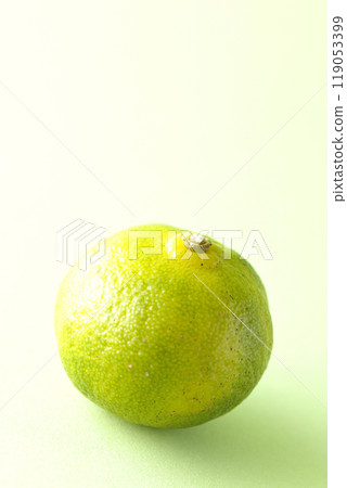 Single photo of Shikuwasa 119053399