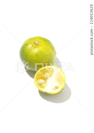 Shikuwasa photographed on a white background 119053629