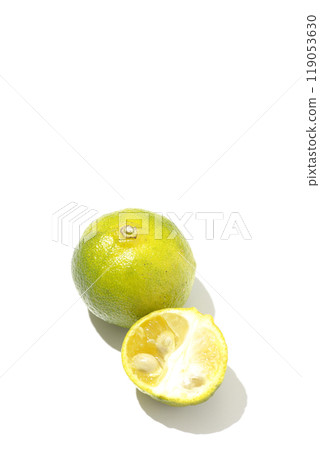 在白色背景拍攝 Shikuwasa 119053630